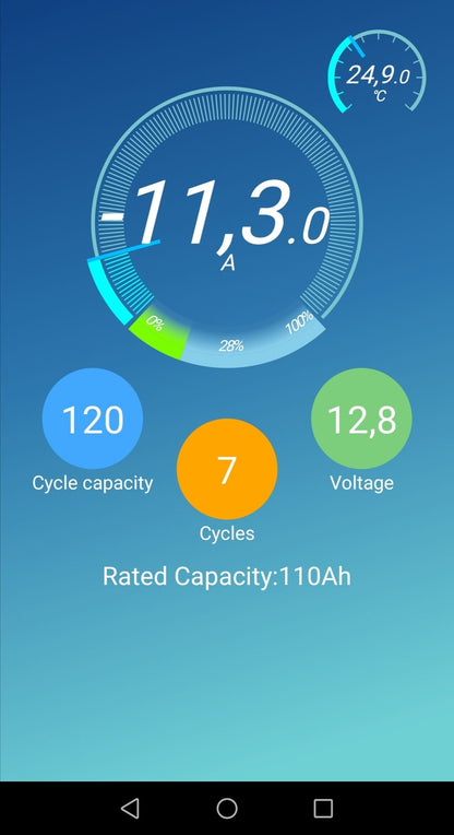 300Ah Lithium LiFePO4 Akku mit BMS Bluetooth-Sitzsockeleinbau